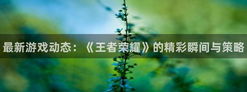 星欧娱乐app下载地址：最新游戏动态：《王者荣耀》的精彩瞬间