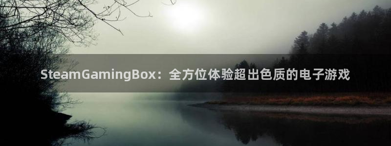 星欧娱乐代理登陆：SteamGamingBox：全方位体验超