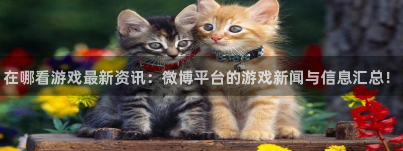 手机星欧娱乐下载安装：在哪看游戏最新资讯：微博平台的游戏新闻