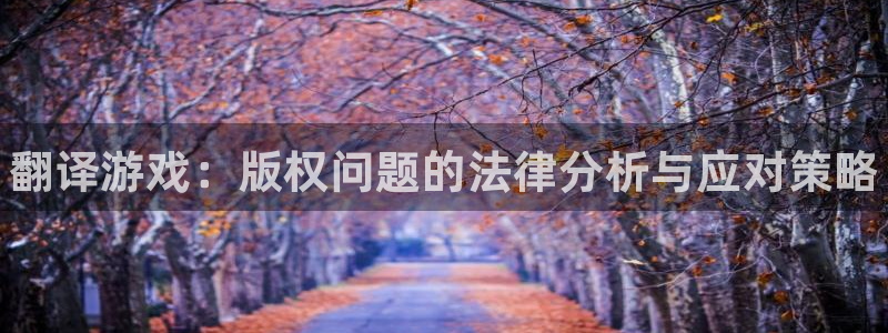 星欧娱乐Ii：翻译游戏：版权问题的法律分析与应对策略