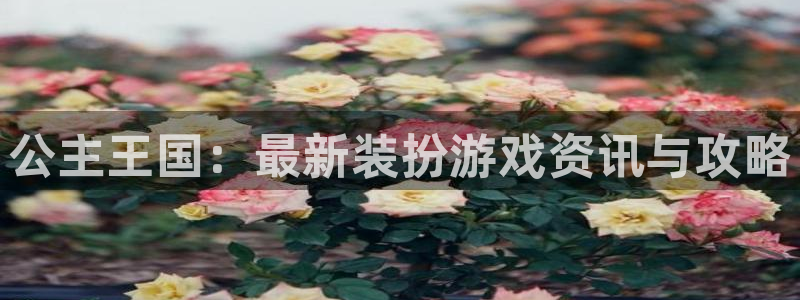 星欧娱乐平台负责人：公主王国：最新装扮游戏资讯与攻略