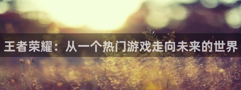 星欧娱乐咨询：王者荣耀：从一个热门游戏走向未来的世界