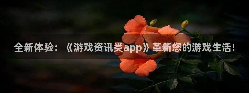 星欧娱乐平台登录入口：全新体验：《游戏资讯类app》革新您的
