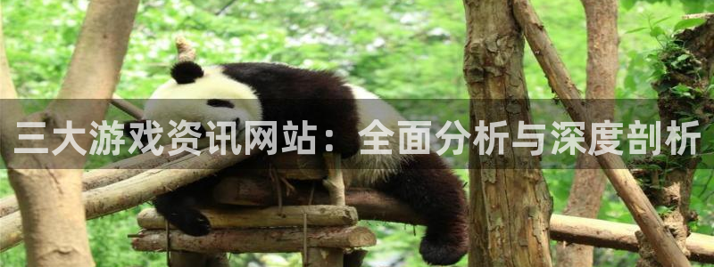 星欧娱乐官方登录网址：三大游戏资讯网站：全面分析与深度剖析